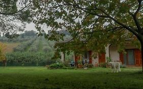 Casa Sophie Affittacamere